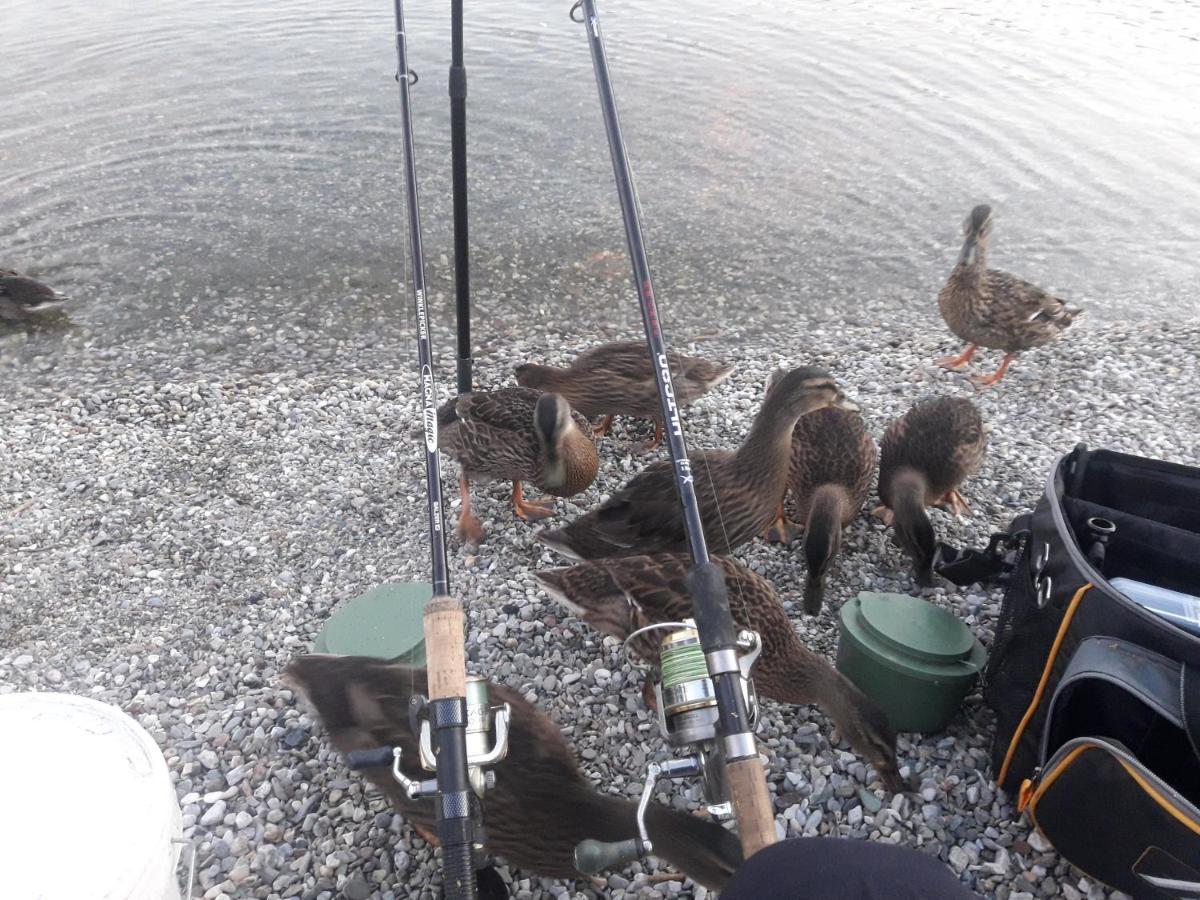 Wildente Am See Майсхофен Екстериор снимка